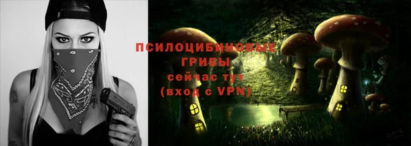 прущая мука Михайлов