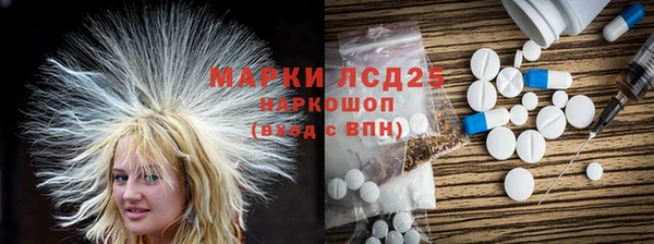 гашик Михайловск