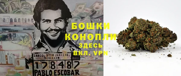 прущая мука Михайлов