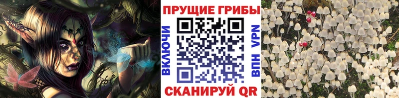 как найти наркотики  Кинешма  Псилоцибиновые грибы Magic Shrooms 
