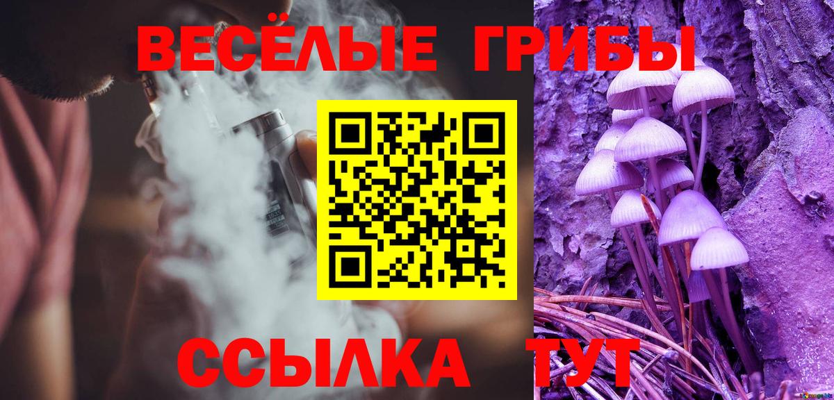 купить наркотик  Кинешма  Галлюциногенные грибы прущие грибы  Галлюциногенные грибы ЛСД 