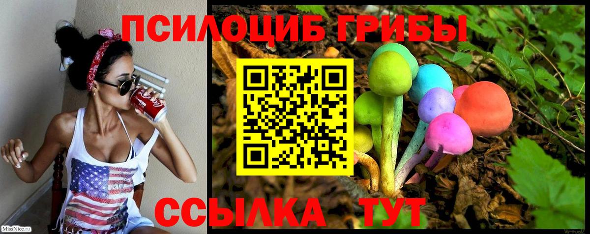 Псилоцибиновые грибы Psilocybe Кинешма