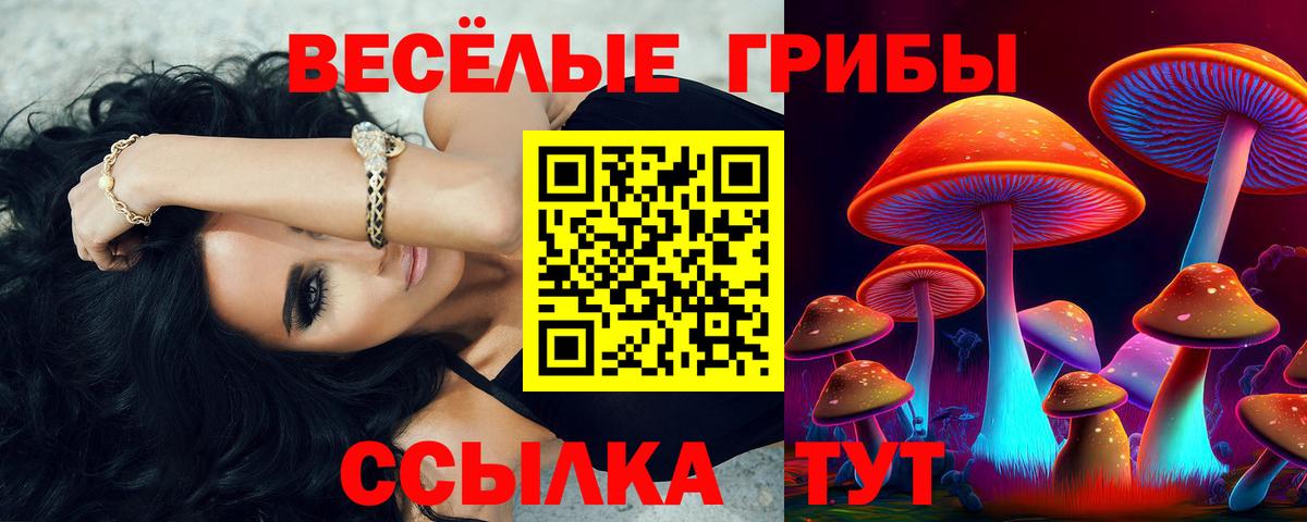 Псилоцибиновые грибы Psilocybe  Галлюциногенные грибы ЛСД  Кинешма  Вход с VPN 