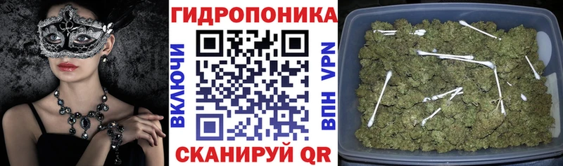 Конопля AK-47  Кинешма 